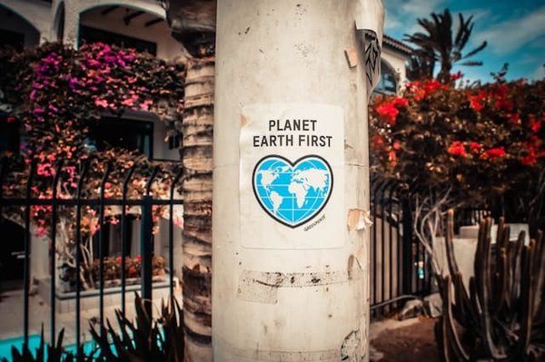 Comment le management peut-il s'adapter aux défis de la durabilité environnementale ?
